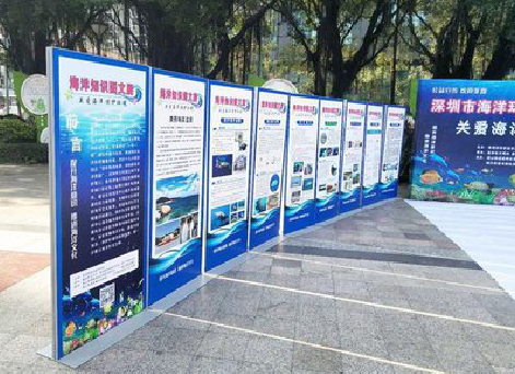  禹州KT板的种类和知识。